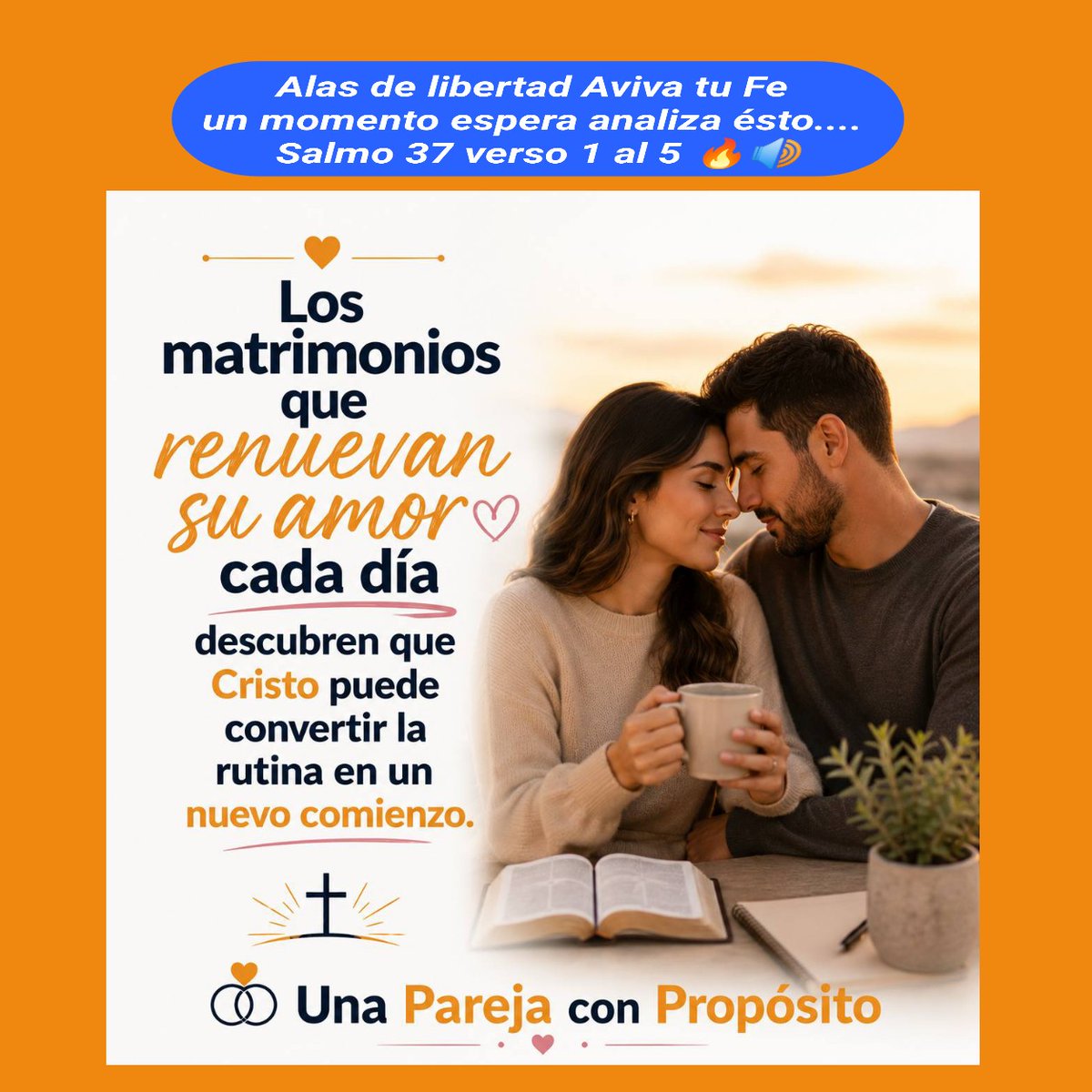 PkchReporta's tweet photo. https://t.co/pB0Td1MKGd