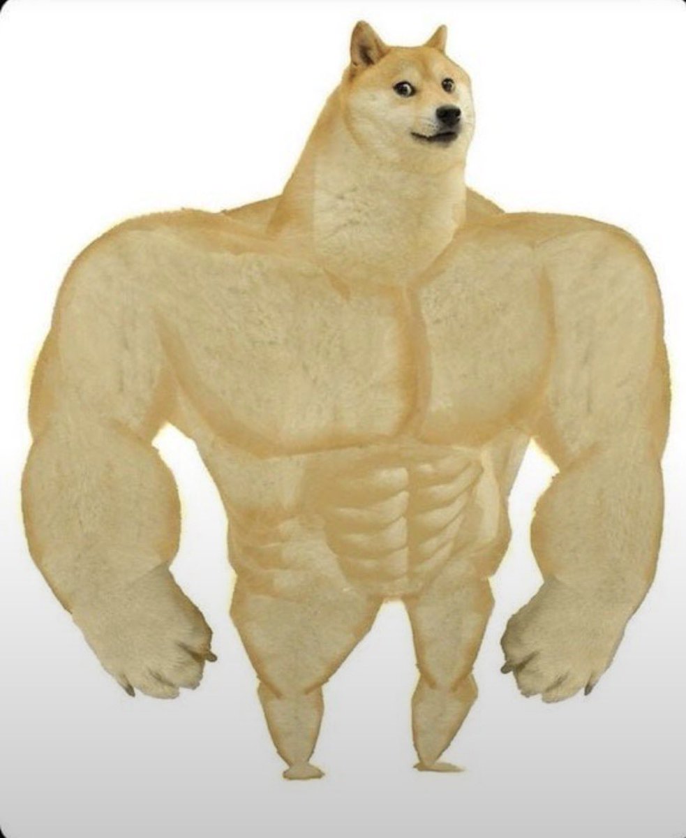 DivanniyTreider's tweet photo. @_dogegod_ $SWOGE https://t.co/TYo54bVjhy