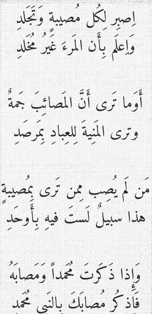 MESHMAWI's tweet photo. https://t.co/SYbDFxb8t5