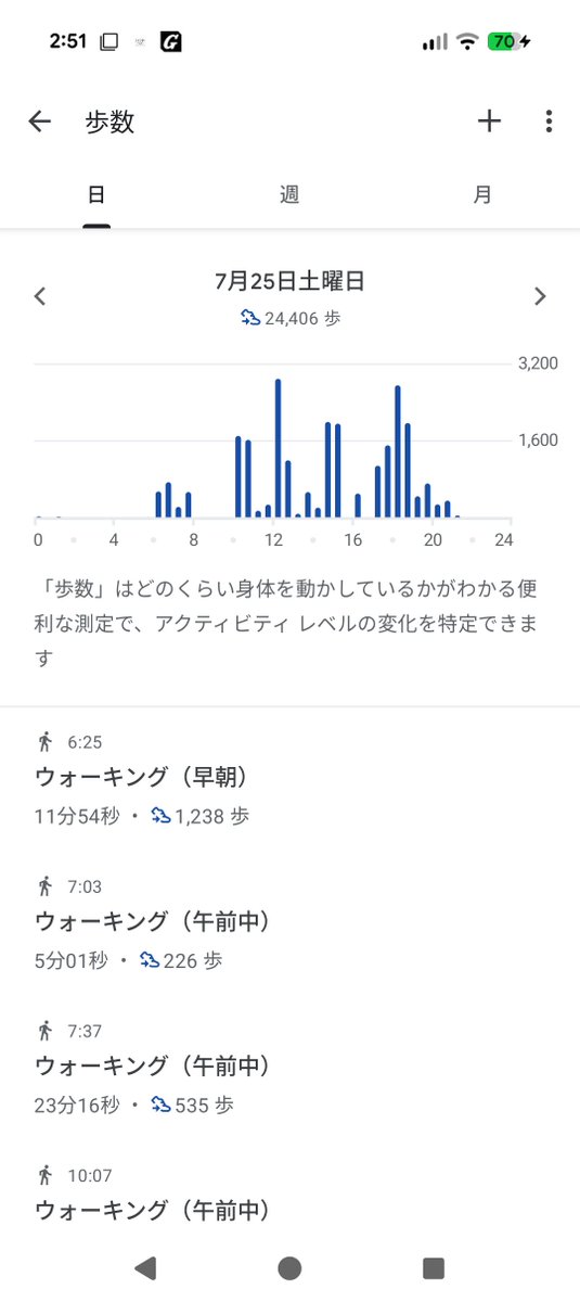 pochi_chip's tweet photo. よく歩いた。腰は意外と大丈夫だった。
痛み止めの薬ありがとう。おやすみ〜。 https://t.co/LMslx6Lc26