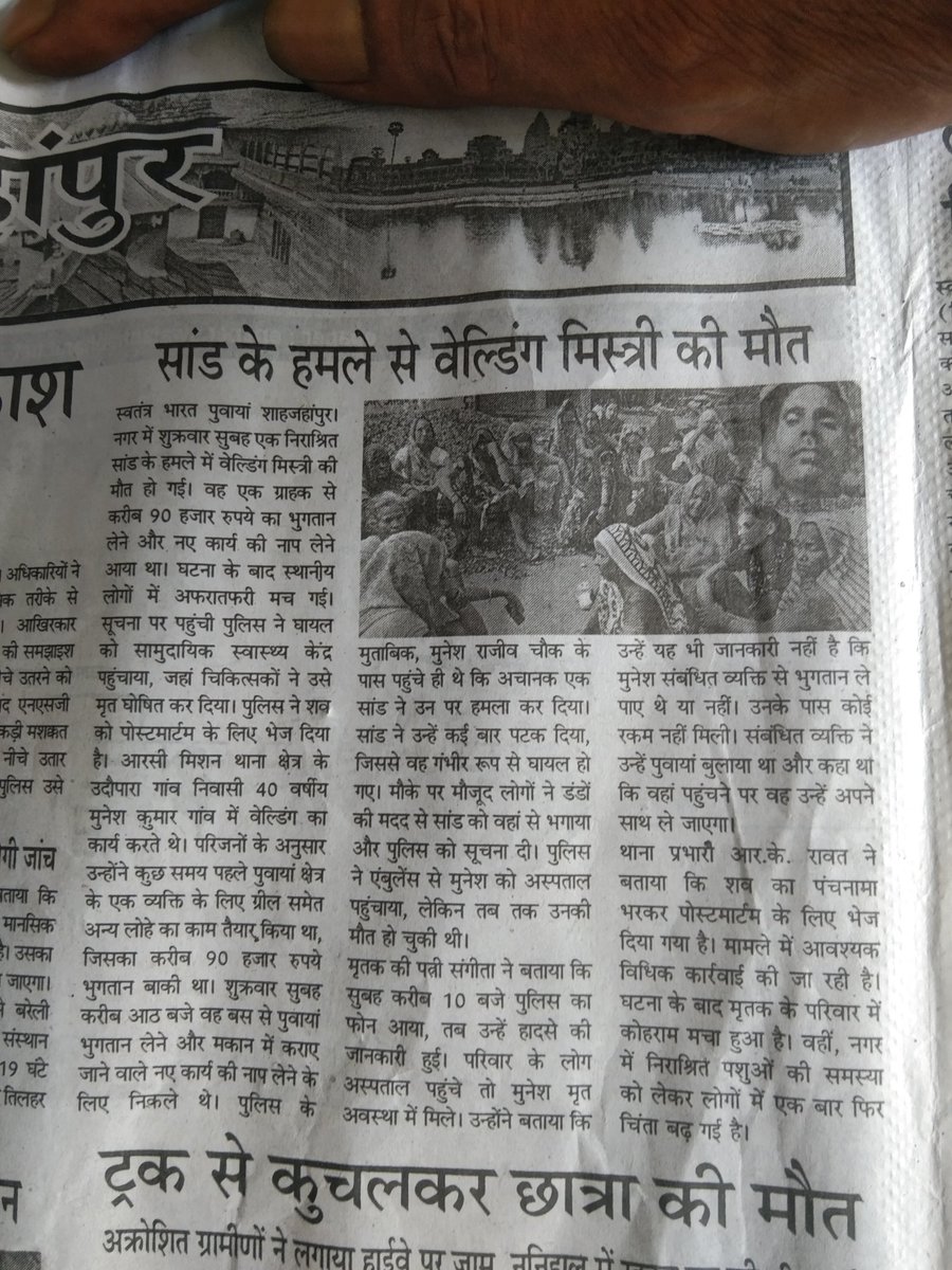 RAMSHANKARGUPT1's tweet photo. https://t.co/No7O6DzXHu @narendrmodi #सांड #आवारापशु 😢😡🙏 https://t.co/ntcR6PeiCL
