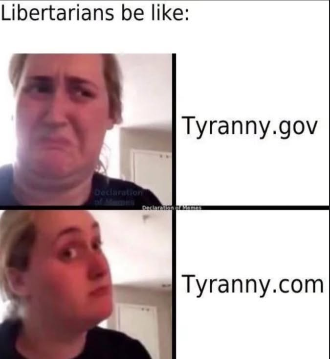 GirBerzerkerCat's tweet photo. https://t.co/irJVhSytBu