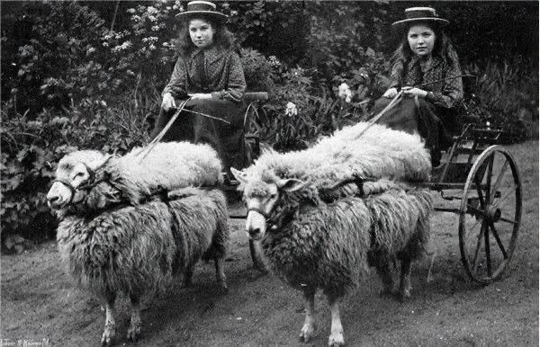 thewoolshire's tweet photo. We simply must return https://t.co/dfEKOd7VmL