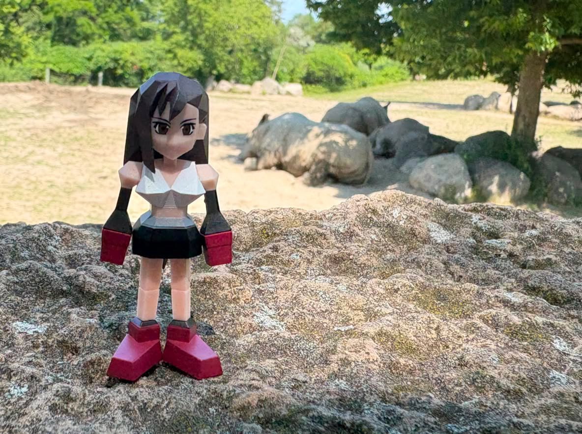 daemoriaxx's tweet photo. Tifa at the Toronto zoo :) #ffvii https://t.co/x2gnFcsMr6