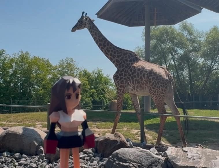 daemoriaxx's tweet photo. Tifa at the Toronto zoo :) #ffvii https://t.co/x2gnFcsMr6