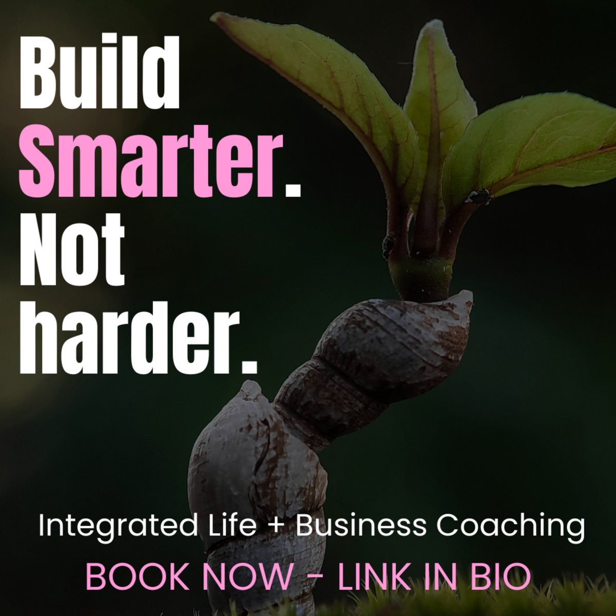 TheEmpireBP's tweet photo. You’re allowed to build a business without burning out.
You’re allowed to rest without guilt.
You’re allowed to ask for help. Mentoring is available when you’re ready. #mompreneur #fyp #womeninbusiness #momlife #mentorship #clarityoverchaos #buildyourlegacy https://t.co/QpuE777tul