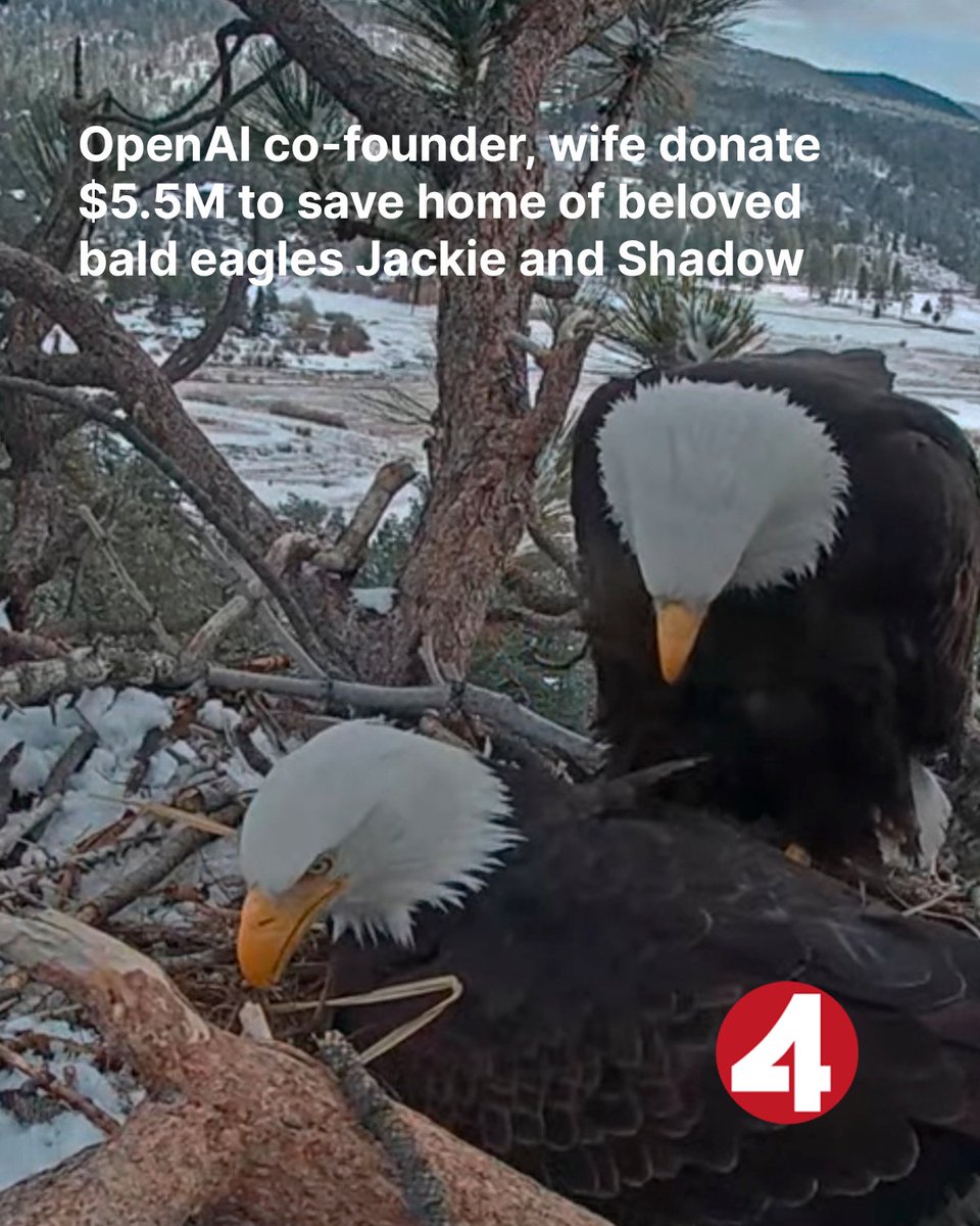 kron4news's tweet photo. OpenAI co-founder Greg Brockman and his wife Anna donated $5.5 million to round out the $10 million fundraising goal that will ensure the preservation of Moon Camp, home of the beloved Big Bear Valley bald eagle pair Jackie and Shadow.

STORY: https://t.co/9J7QMSfzW5 https://t.co/dLAYCYJOfv