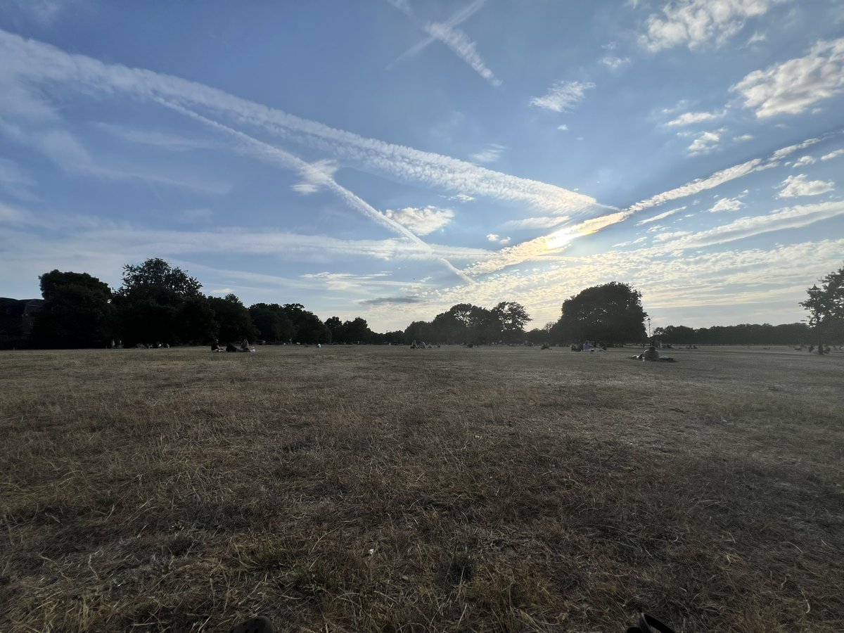 PJordenson's tweet photo. Park Life London Clapham Common 7pm exactly. https://t.co/C9VcX7DG4z