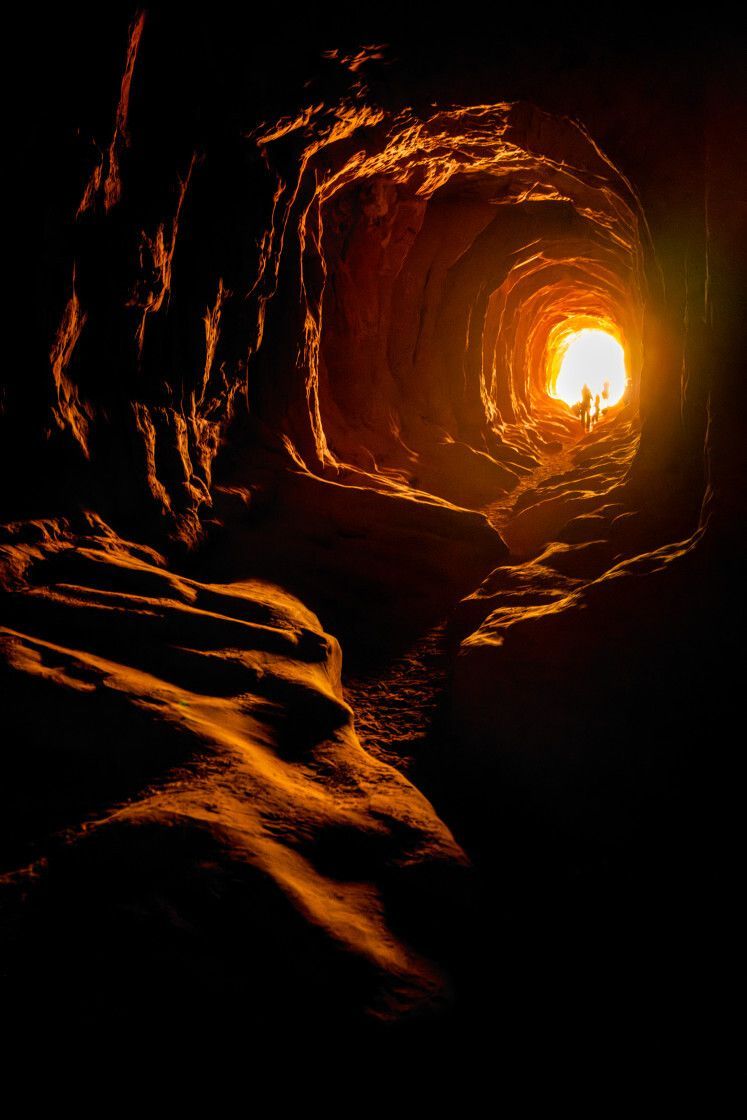 Picfair tweet picture