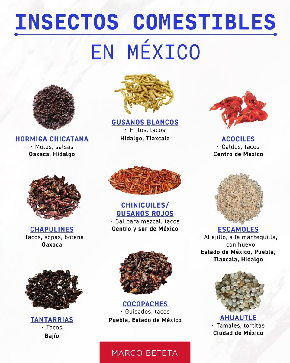 Leñador tweet media