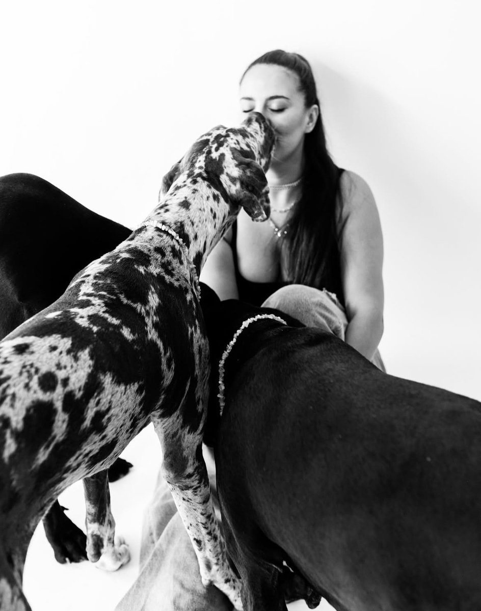 Mrexpensive0111's tweet photo. Love my dog 
Live streams/Exclusive treats 💦🥵
https://t.co/KtE7kle4oH
 #dogknot #dogknotting #doggy https://t.co/dN6KAzvPJz