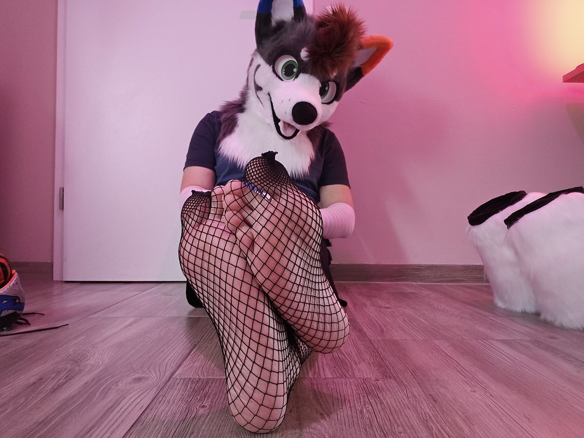 blizzardnsfw_'s tweet photo. Why did you take my paw socks off? D: And what are the fishnets for? Do you wanna catch my feet?~~ 🥴👉👈 https://t.co/y5t9DeacpX