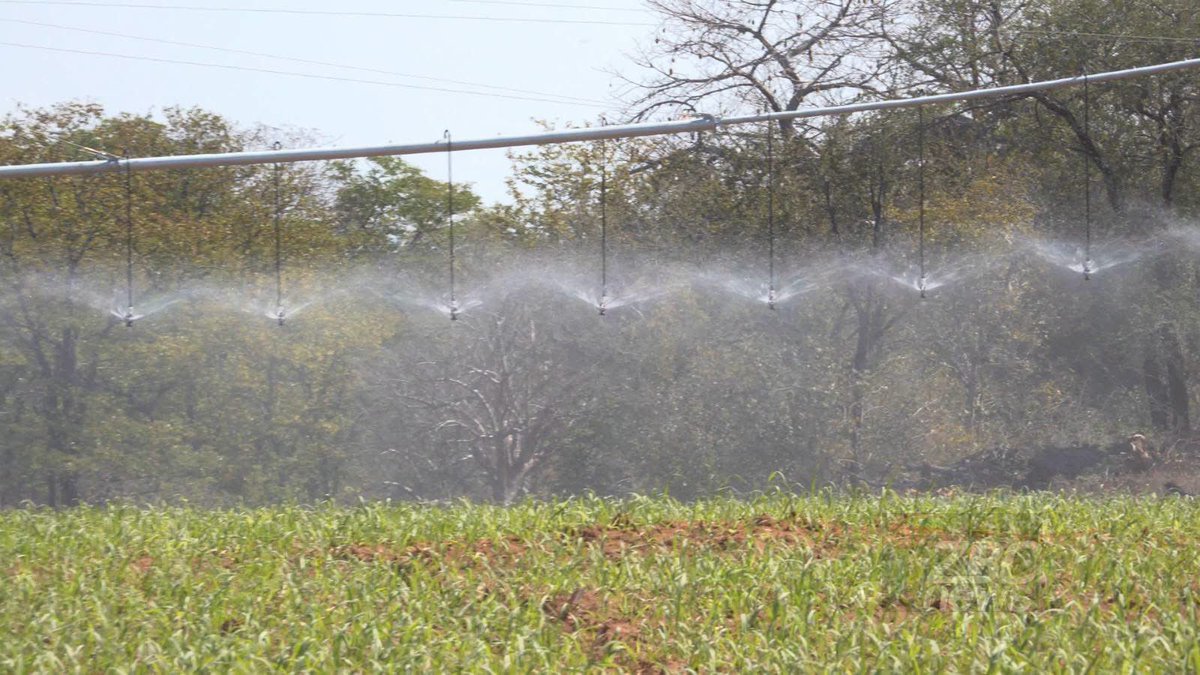 AfroGrowth360's tweet photo. 🇿🇼 Zimbabwe is securing food production! The $250 MILLION Tugwi-Mukosi Mega Irrigation scheme is actively under construction!
Status: Installing high-tech pivot systems and water canals down the basin.
Impact: Turning 40,000 hectares of dry land into a year-round agricultural hub https://t.co/Z6Qovy68LZ
