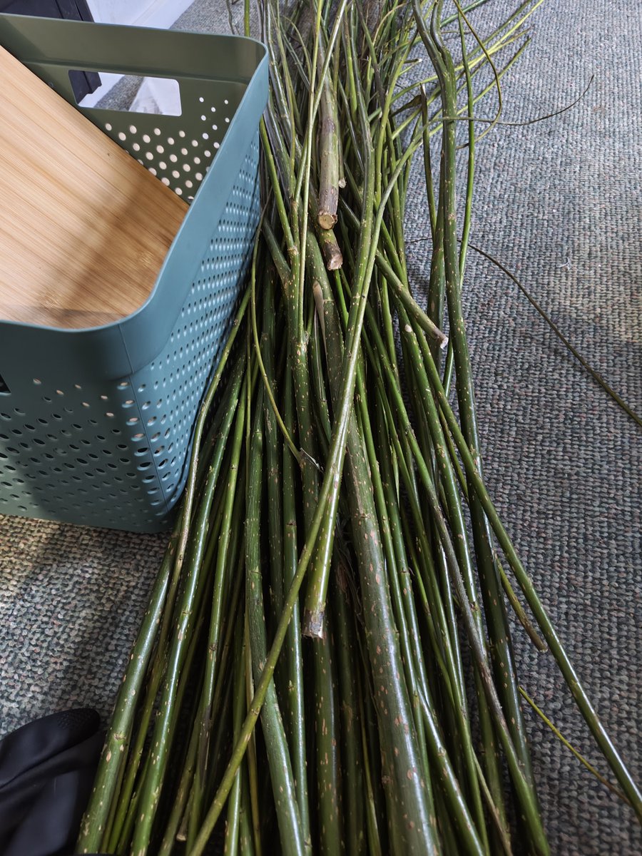ta_naughty's tweet photo. @DeputyGrocott Day 3 of painting The Hummingbird Project's new place. We think we're done. Home to the willow that I need to make into wreaths for the Xmas wreath making Mountain Rescue fundraiser I do https://t.co/H18hOMdy9L