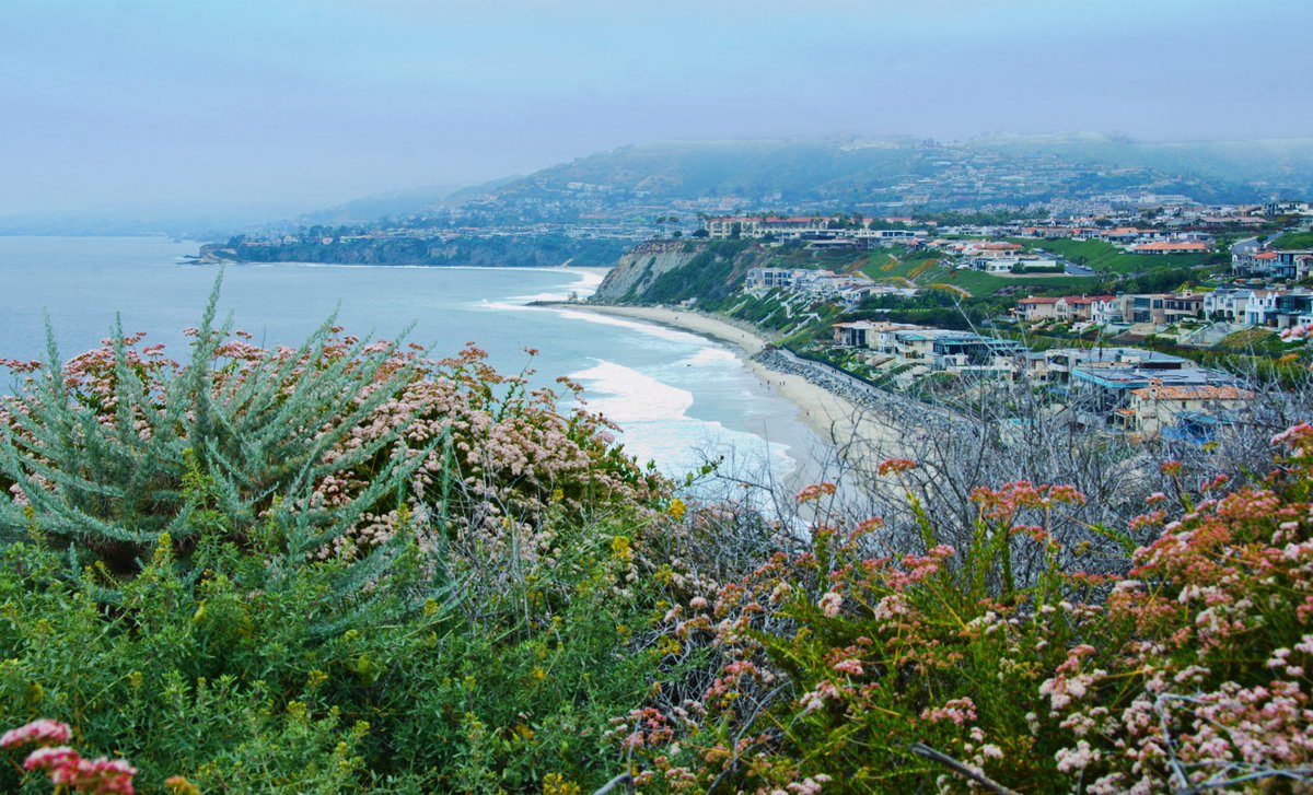 COS_foto_grl's tweet photo. @DailyPicTheme2 #DailyPictureTheme #idyllic
Dana Point #California https://t.co/ivIxJglIDt