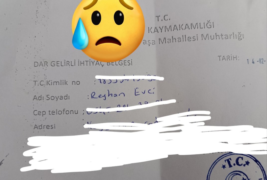 reyhan evci tweet media