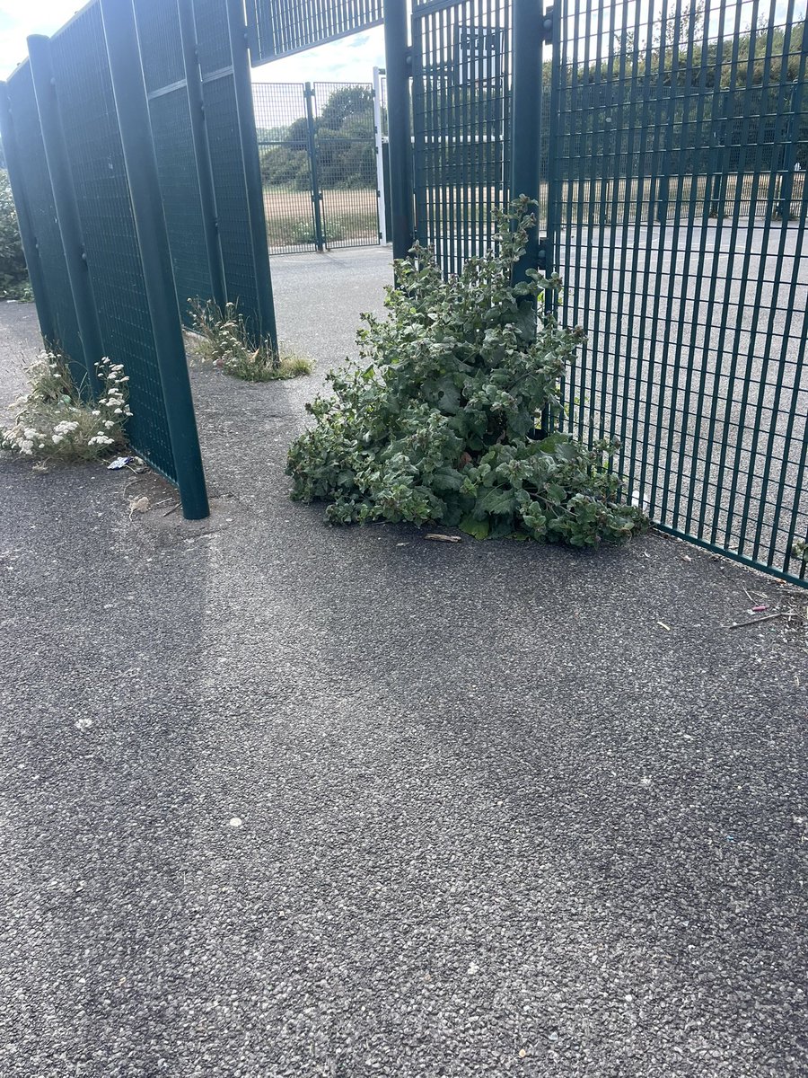 JohnFlood81's tweet photo. @medway_council 11 months ago you raised a report to have the park on Barnfield sorted. Despite Norse being at the field countless times to sort pitches out for football etc they’ve failed to sort the actual parks out! Absolutely shocking that nothing can be nice in Medway!! https://t.co/n9xjgIs0Ef