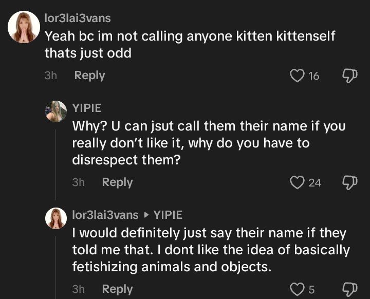 ticcidicky's tweet photo. using nounself pronouns is fetishizing animals and objects... what? 😭 https://t.co/wgl7eRvaLY