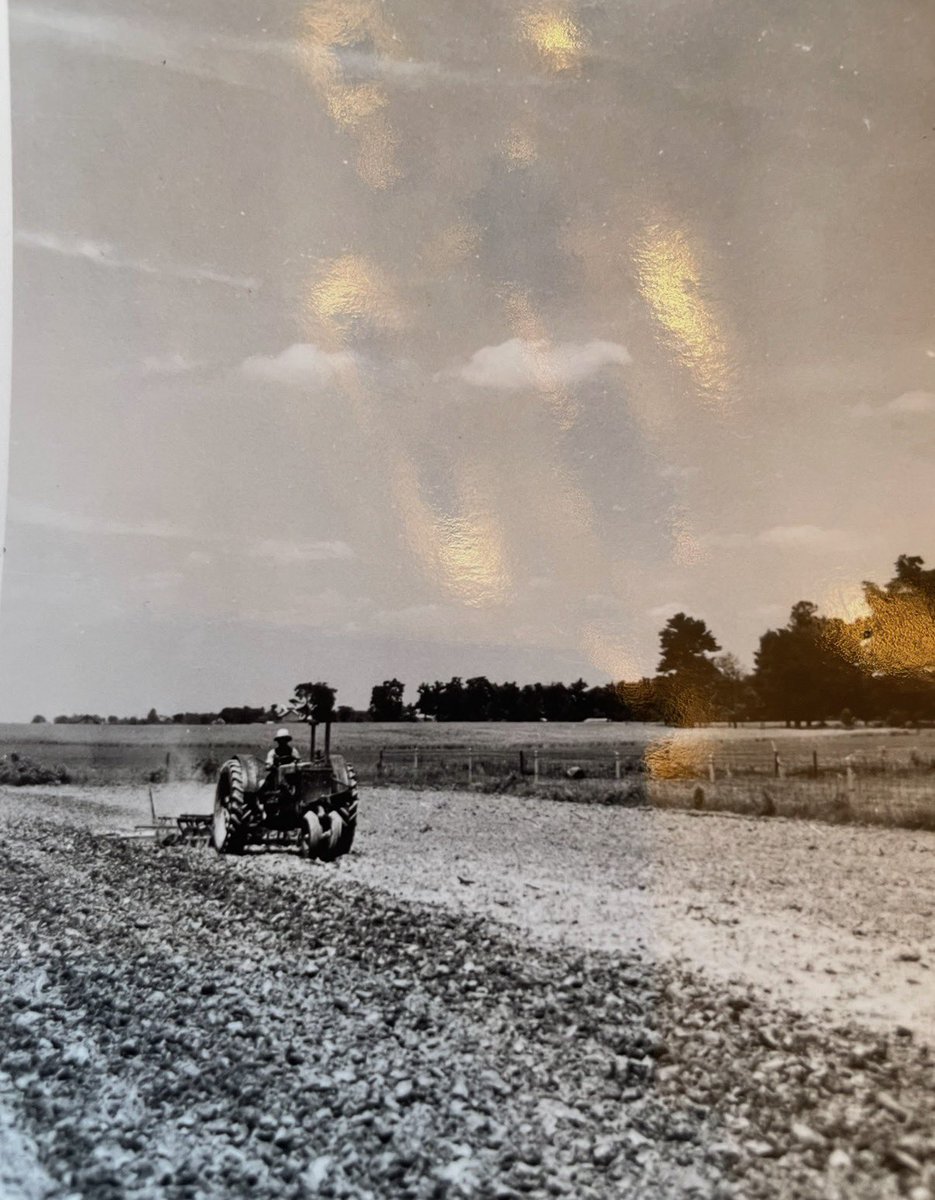 ConnieThingstad's tweet photo. @jasonmauck1 My grandpa Blake shucking corn in the 1940s just across the Delaware/Madison county line half a mile south of St Rd 28/35. He couldn’t have believed how much farming has changed. A relative is still farming the land in our family since 1837. https://t.co/3zz5Wq3yzk