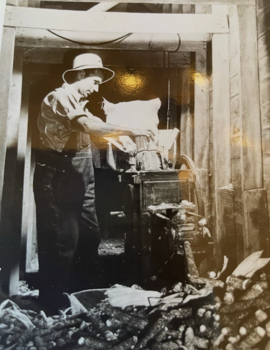 ConnieThingstad's tweet photo. @jasonmauck1 My grandpa Blake shucking corn in the 1940s just across the Delaware/Madison county line half a mile south of St Rd 28/35. He couldn’t have believed how much farming has changed. A relative is still farming the land in our family since 1837. https://t.co/3zz5Wq3yzk