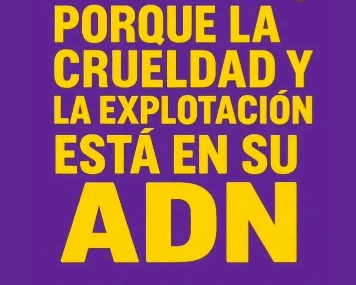 Antonio de la Roche tweet media