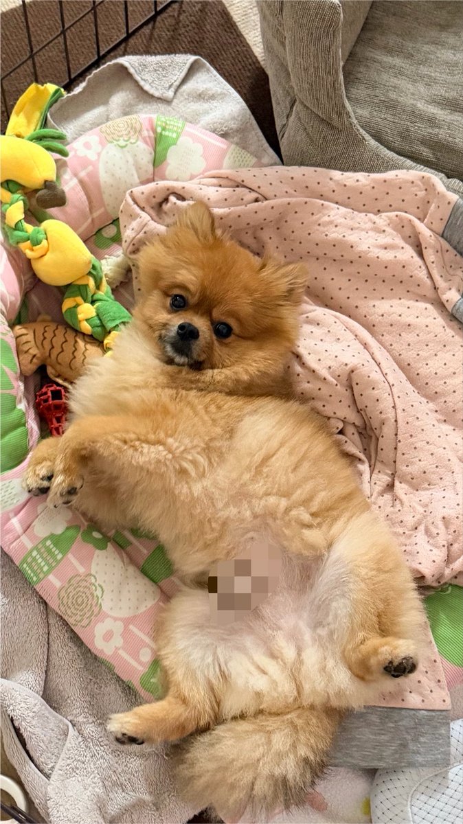 printer3's tweet photo. 朝起きて部屋を出たらコレ…控えに言っても最高の朝☺️ https://t.co/zUFzYqhawV