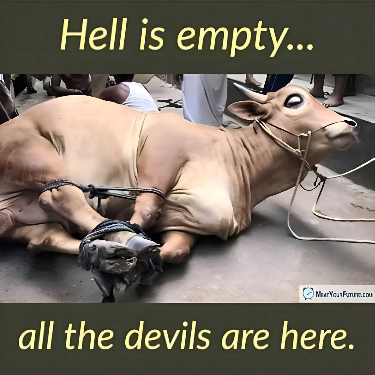 Joseph3Sengendo's tweet photo. Where's kindness here? Why are you turning animals into objects? Whoever did this deserves the same https://t.co/cjTkJuemfL