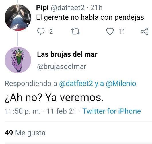 Alfred 🐕 tweet media