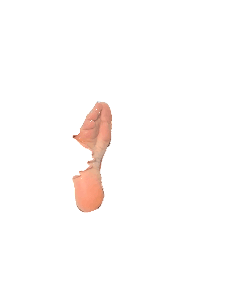 SoftAngelFeets's tweet photo. Hold the Image https://t.co/g76DQrIVEN