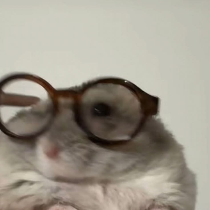 ipodkiss's tweet photo. no hago face reveal porque en verdad soy este https://t.co/tXYThRiwe1