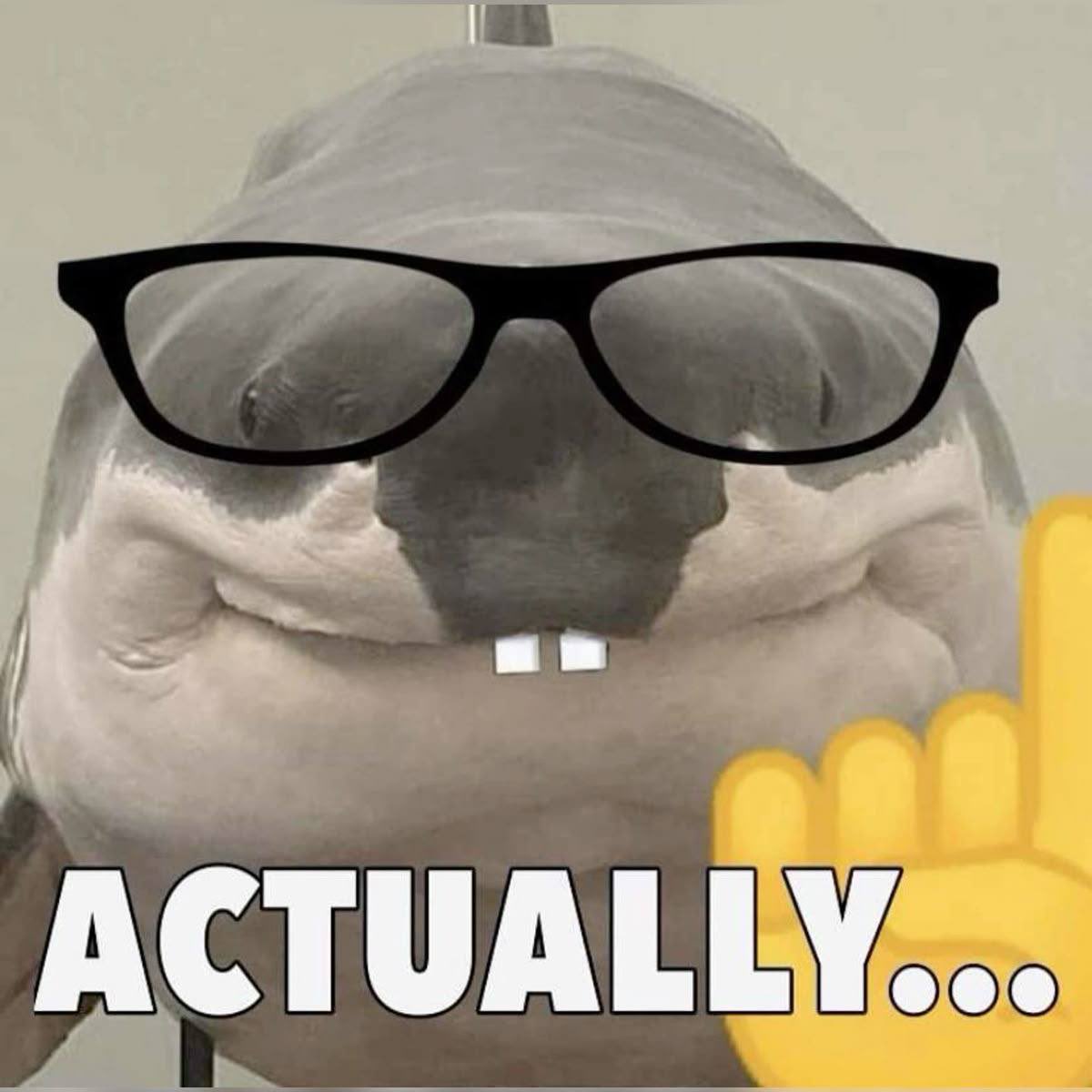 vecervcus tweet picture