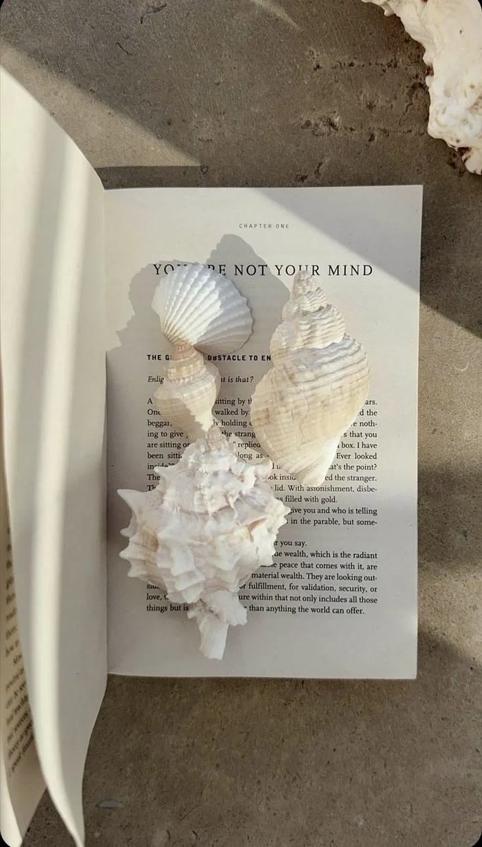 isilsun's tweet photo. small treasures https://t.co/W7VTWUAHAH
