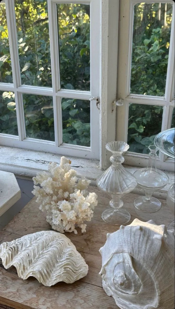 isilsun's tweet photo. small treasures https://t.co/W7VTWUAHAH