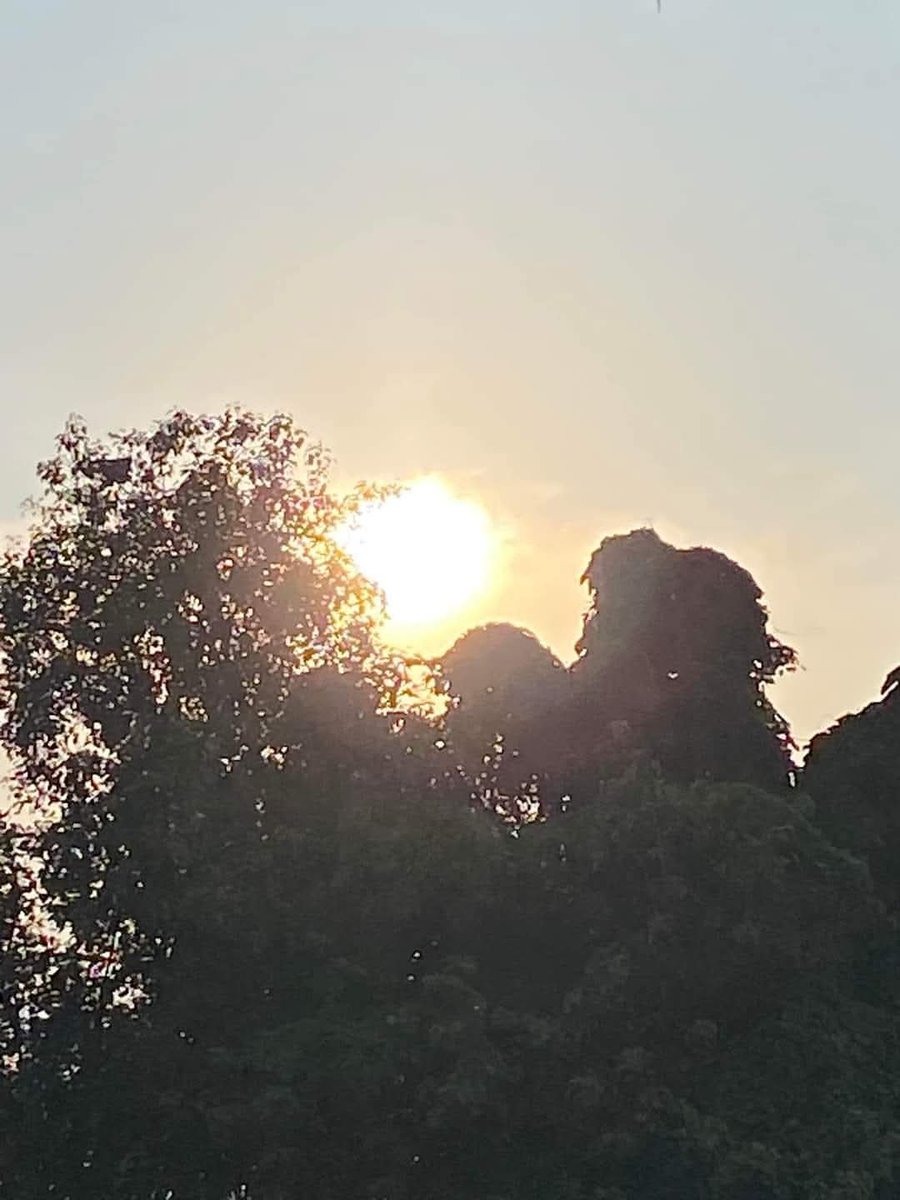 lightseekerusha's tweet photo. Her heart bloomed sunflowers so she would always face the light.
- Gemma troy
#NatureLover #NatureDiary #TreeLover https://t.co/P8oZlj0mxy
