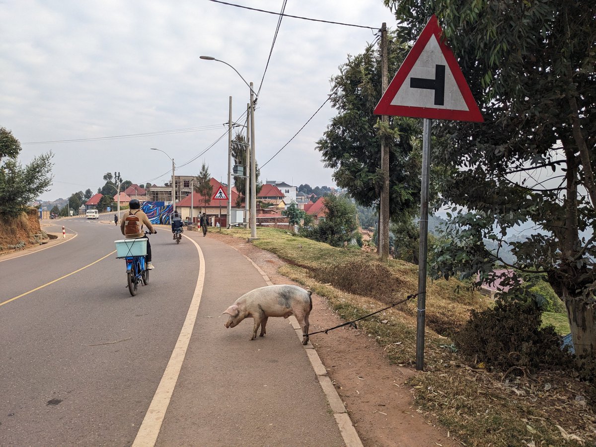 Radarnshya1's tweet photo. 🎙️ TWIGANIRIRE 🎙️
Wowe ukimara kubona iyi FOTO, ni iki wanenga uhereye byo ubonaho?

#MuriRubanda
#Travel 
#Duet https://t.co/pShLnTcRYd