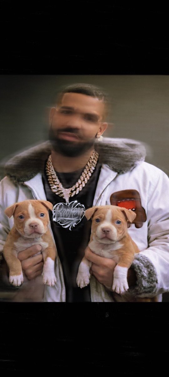 StylezMurda's tweet photo. Posting thisss In December Can’t show the full thing Ovo Drawing  Big Dracooo with the puppies https://t.co/gSiilffQ8x