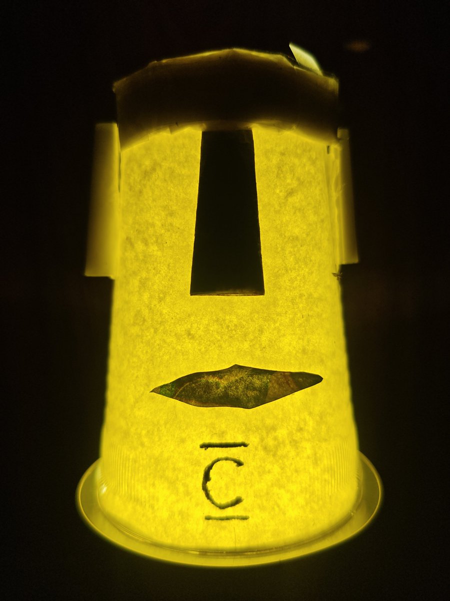 nevershamimg's tweet photo. A simple one time plastic cup, polythene, and colored paper turned into a glowing Moai. It proves that creativity can transform ordinary materials into something meaningful.

Just like @ConcreteXYZ , where complex DeFi infrastructure is transformed into simple, secure, and efficient onchain yield opportunities. Through modular vaults and smart infrastructure, Concrete helps shape the future of onchain finance.