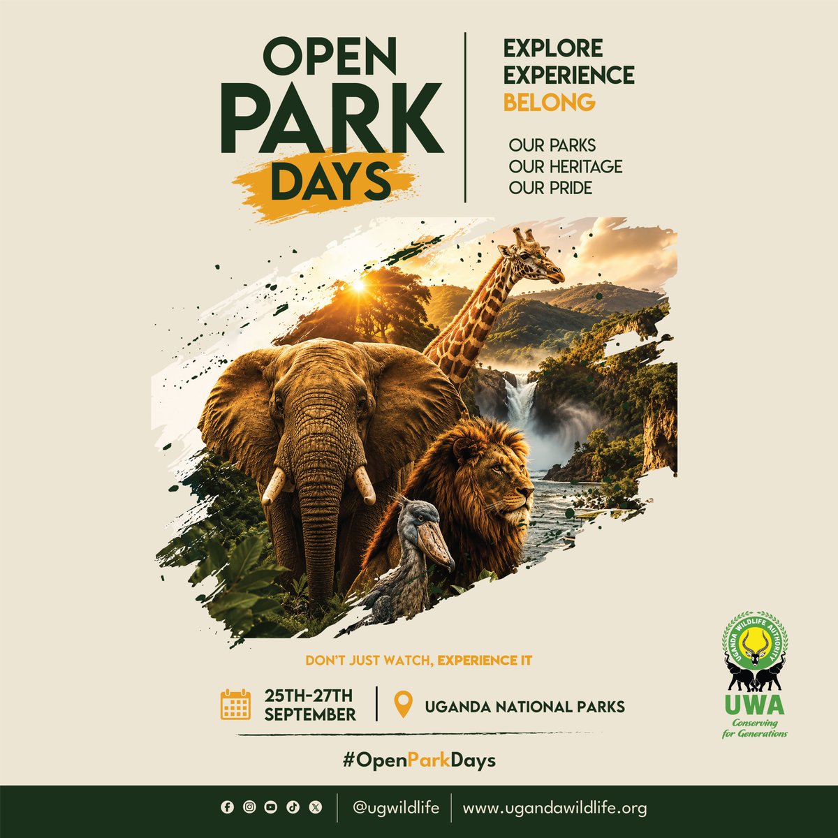 swiftnewsug's tweet photo. Uganda's beauty deserves to be seen. 

Our senior writer @SwiftActor will be trekking across several national parks to bring you the best of Uganda's wildlife, stunning scenery, &amp; unforgettable adventures. Follow @swiftnewsug for exclusive updates.

#ExploreUganda
#OpenParkDays https://t.co/LfnZLZjRf0