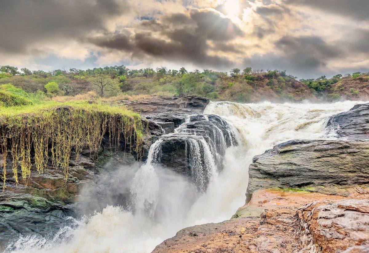 swiftnewsug's tweet photo. Uganda's beauty deserves to be seen. 

Our senior writer @SwiftActor will be trekking across several national parks to bring you the best of Uganda's wildlife, stunning scenery, &amp; unforgettable adventures. Follow @swiftnewsug for exclusive updates.

#ExploreUganda
#OpenParkDays https://t.co/LfnZLZjRf0