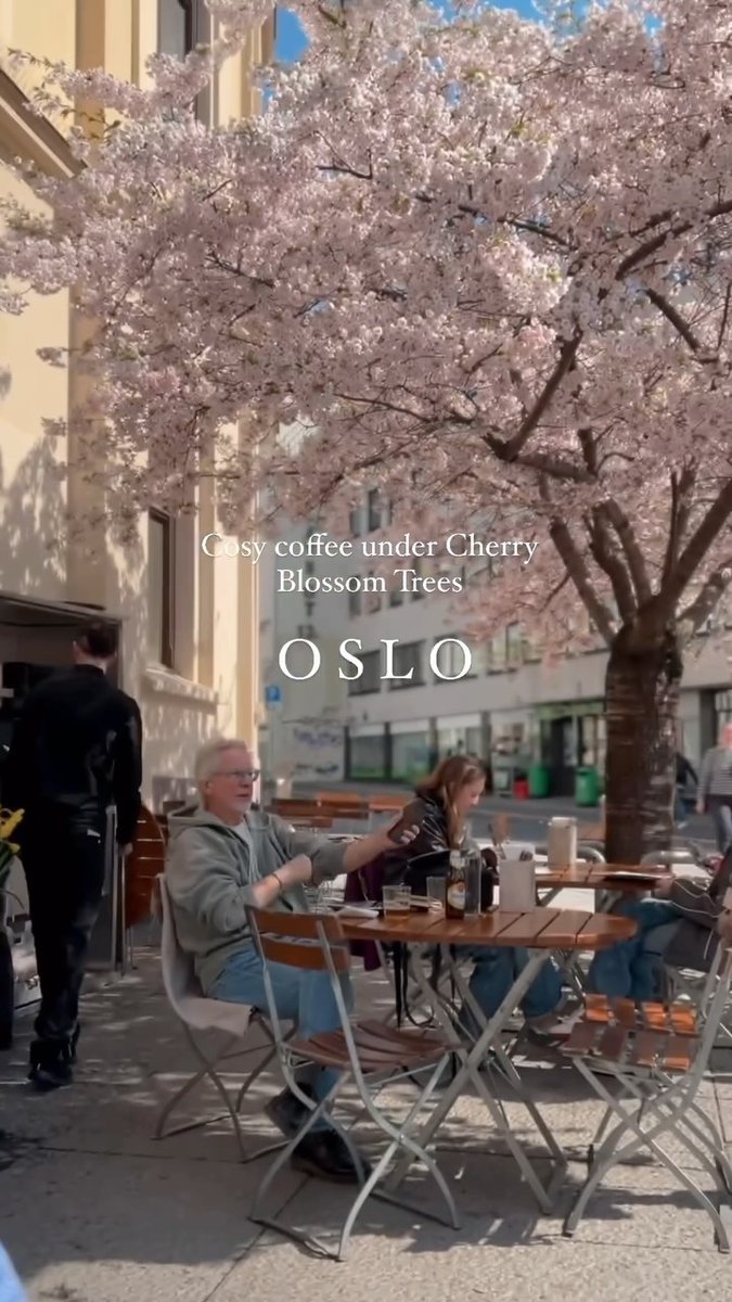 osloy1bl's tweet photo. https://t.co/sf0M30lzVP