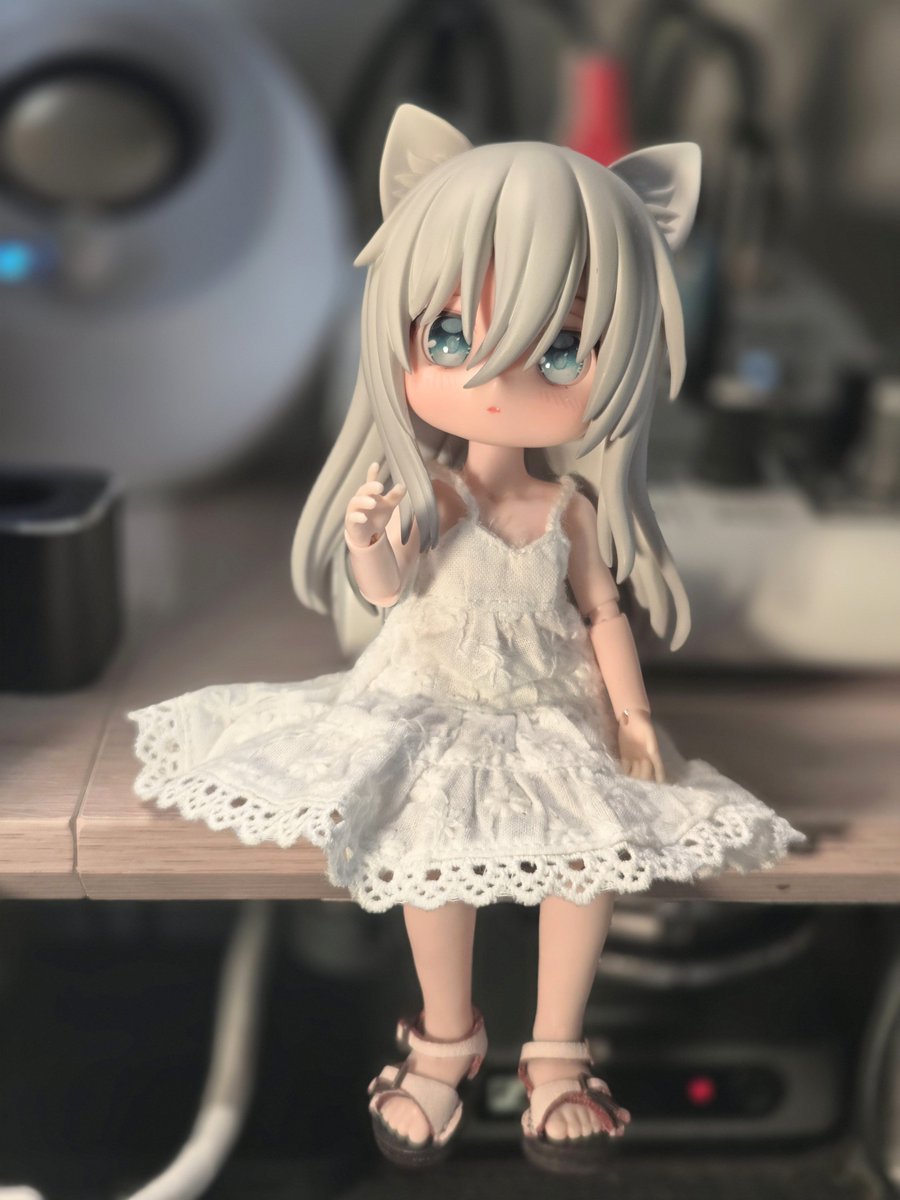 ドール