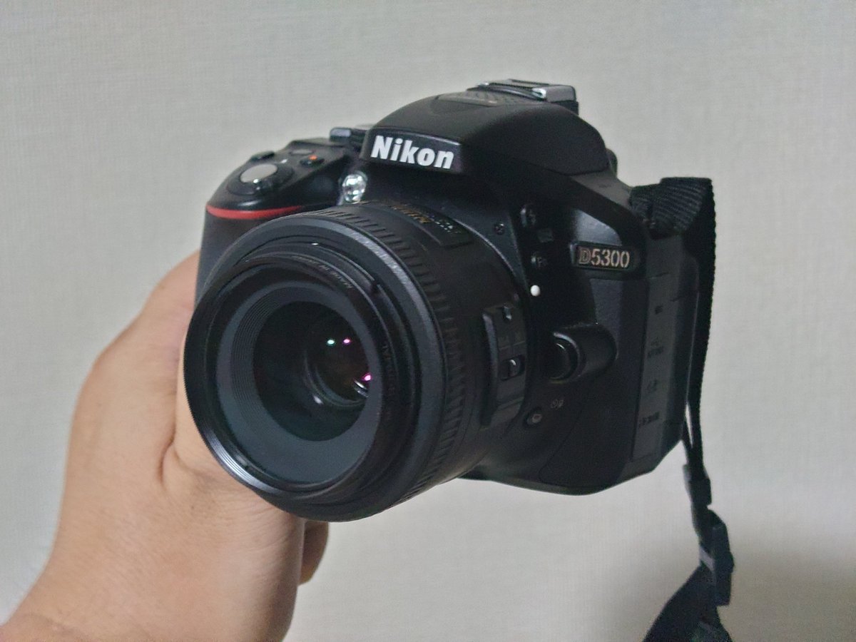 ということで、Nikon D5300とAF-S 35mm F1.8Gを衝動買いしました