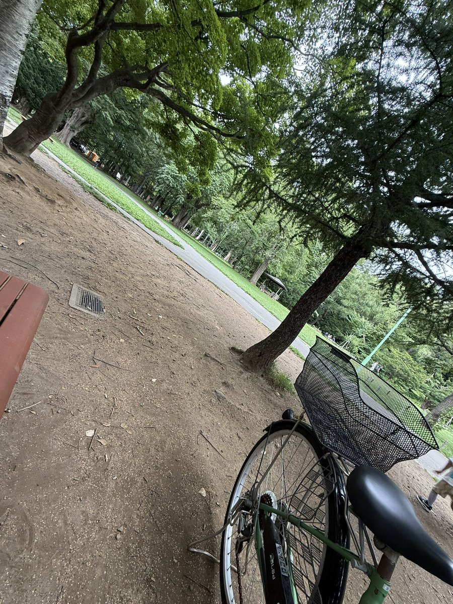 richa_11_'s tweet photo. 朝起きて洗濯して干して
しまむらからの
円山公園までチャリでいってきた🚲♡
夕方レイダース届いた- ̗̀📦 ̖́-
娘喜んでた〜🐥⸒⸒ https://t.co/qecEdCAk7n