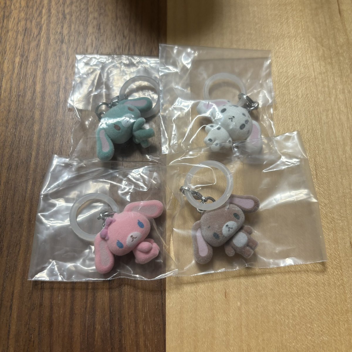 🐶💎♡ 𝗔𝗬𝗔𝗞𝗔 ♡💎🦖 tweet media