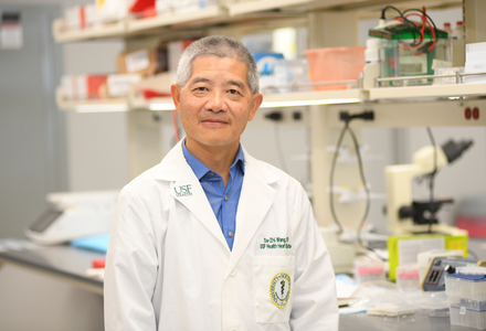 Lockwood_MD's tweet photo. Here’s important new research on Duchenne muscular dystrophy from @USFHealthMed scientists: They’ve identified a potential pathway that might help preserve heart function in people with this devastating disease. Kudos to #USF Drs. Da-Zhi Wang, John Mably, and Gabriela Diniz and the rest of their research team for this exciting step forward.

👉Learn more: https://t.co/cbTEZXfjiY