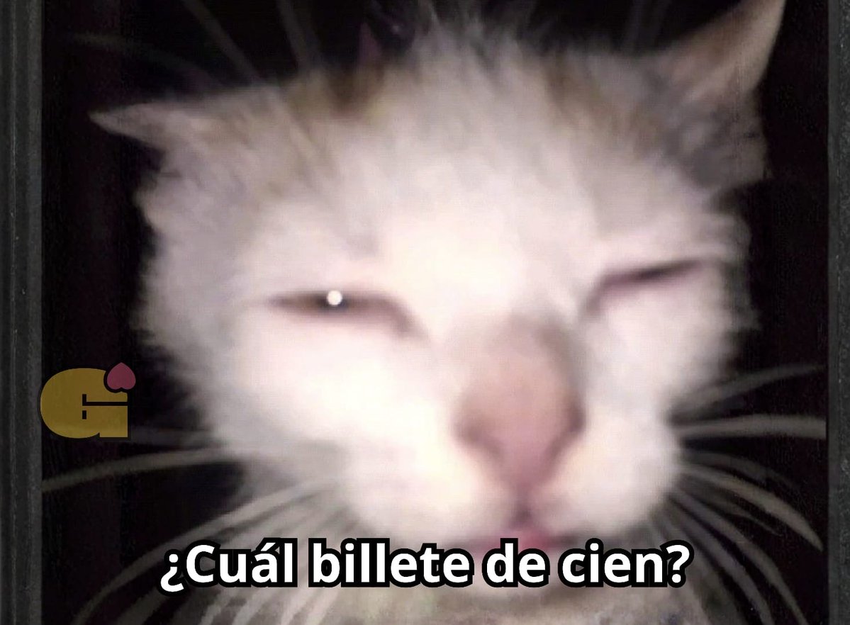 Guarromantico_'s tweet photo. “Seguro que estás durmiendo bien”

Yo: https://t.co/oIM1L59BjW