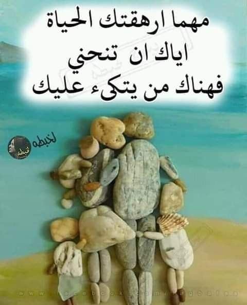 111ceok's tweet photo. https://t.co/oruBvHfQjl