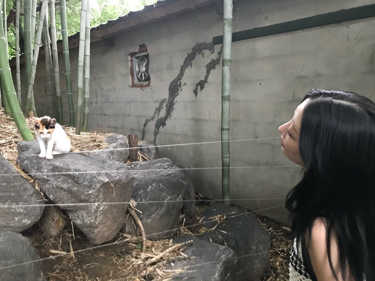 Ryudainzone's tweet photo. She is so beautiful ❤️

250626

2/4

#ryudain  #류다인 https://t.co/9gg7x9mDKJ