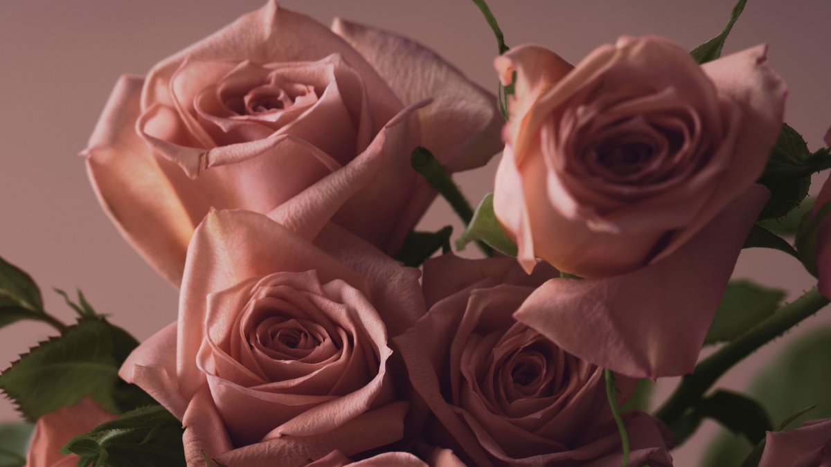 Momihael1100's tweet photo. VICTORIA'S SECRET BARE ROSE EDP
🌷 เปลี่ยนผิวเป็นกลีบกุหลายสีชมพู หอมนุ่มนวล ครีมมี่
🌷 ติดผิวดีสุดๆค่ะ รุ่นนี้หอมและหายากมากๆ

🌷 5ml 210 (ปกติ 260)
🌷 10ml 390 (ปกติ 490)

DESCRIPTION : น้ำหอมกุหลาบมักส์สกินเซ้น นุ่มนวล หรูหรา น่ารัก ติดทน หวานสดชื่นไม��เหมือนใคร เปิดจากลูกแพร์หวานชื่นใจ ตามด้วยกลีบกุหลาบ มักส์และดรีมวู้ด ยกระดับน้ำหอม วิคตอเรียที่สุดค่ะตัวนี้ กุหลาบอ่อนหวาน น่ารัก ผู้ดีสุด ๆ เค้าเป็นโรส มักส์ อะควาติก เฟรชด้วย ไม่ต้องกลัวจะเลี่ยน เพราะหอมเย็นสบาย สดชื่น สะอาดไปพร้อมๆกัน

แจ้งmlด้วยน้า 
(รับ60ml) กล่องซีล