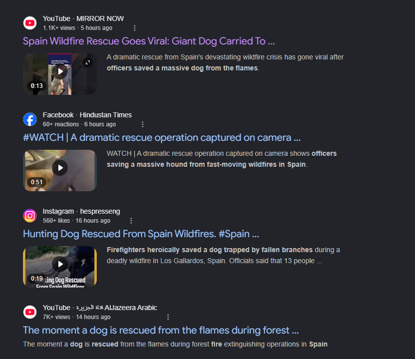 Poolon tweet media